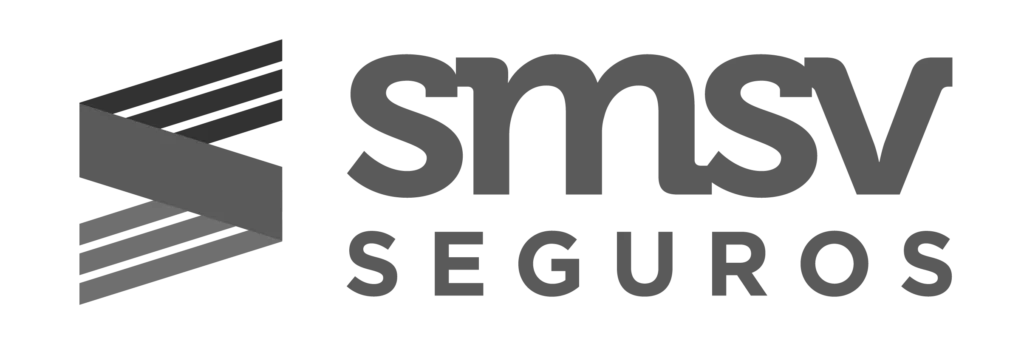 seguros de viajes smsv